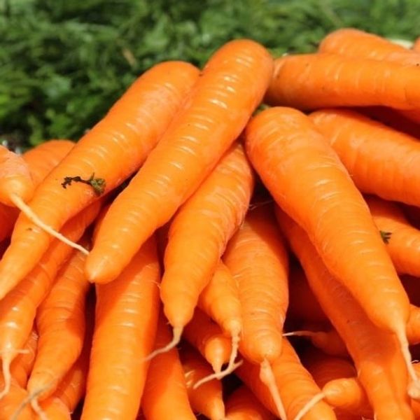 गाजर / Carrot - 1Kg