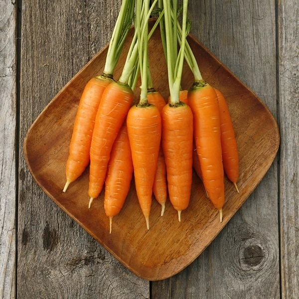 गाजर / Carrot - 1Kg