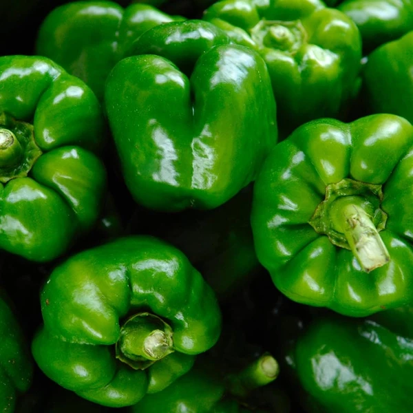 शिमला मिर्च / Capsicum  - 1Kg