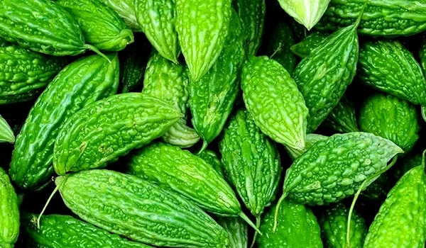 करेला / Karela  - 1Kg