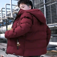 BOMBER JACKET - Maroon, M