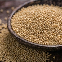 Samai Rice (Little Millet) – High Fiber, Diabetic-Friendly Superfood - 500 Gm