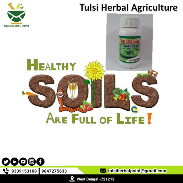 Tulsi PH Ballencer - Green, 250ml