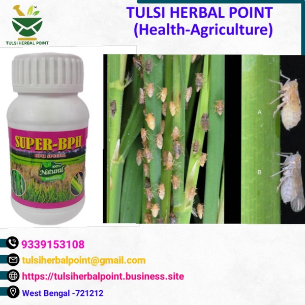 SUPER BPH (pesticides) - White, 250ml