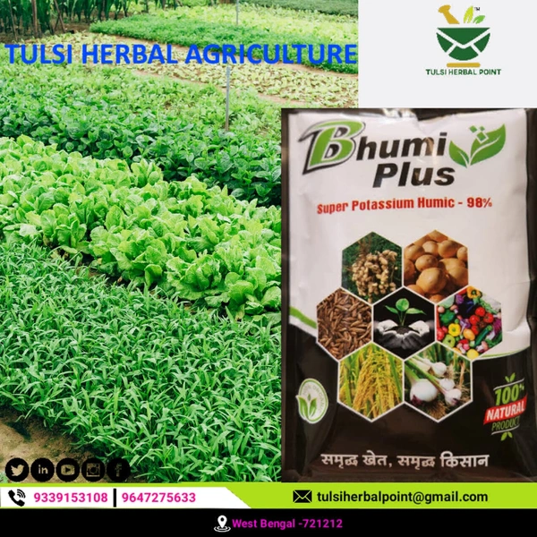 Bhumi Plus (Humic+Potass+Seweed - Black, 500 Gram