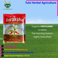 SURAKSHA (NPK based mix micronutrients Fartilizer) - Green, 1 Kg