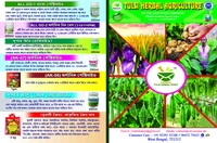 Allgo-1(Bio Pesticide) - Brown, 100ml