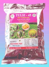 Tulsi-45 (Bio Fungicide) - White, 35grams
