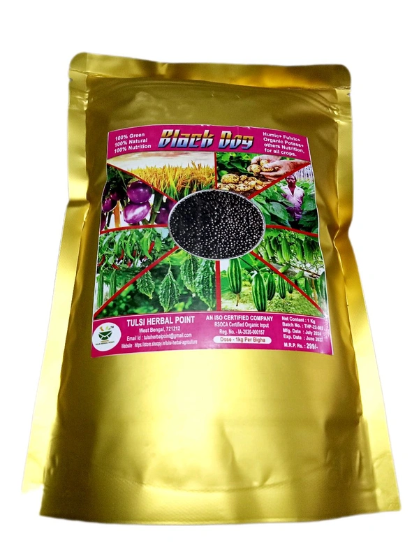Black Dog (shiny ball) - Black, 1kg