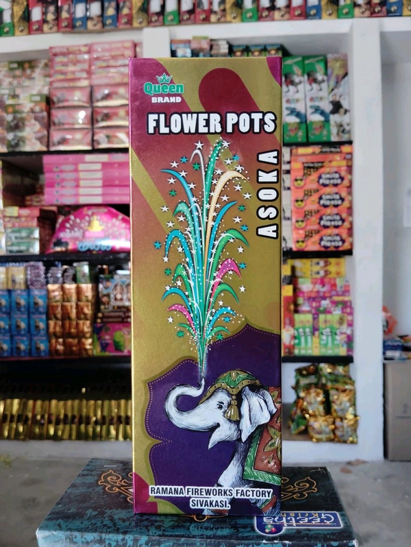 Flower Pot Asoka 