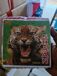 24 Deluxe 