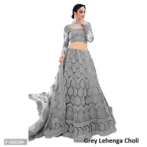 Dharnidhar Chain Embroderied With Stone Work Woman s Flared Semi Stitched Lehenga choli. (Grey)