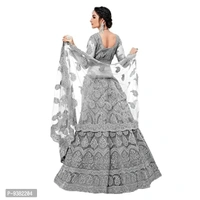 Dharnidhar Chain Embroderied With Stone Work Woman s Flared Semi Stitched Lehenga choli. (Grey)