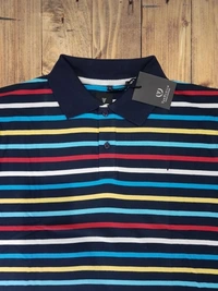 Van Heusen Cotton Multi Color Striped T Shirt for Men - S
