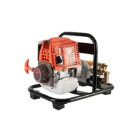 4 Stroke Portable Sprayer  - Tangerine
