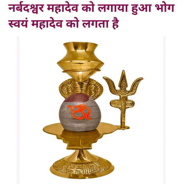 Narbdeshvar Mahadev JalaAbhishek Shivling (24×7) - Gold