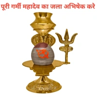 Narbdeshvar Mahadev JalaAbhishek Shivling (24×7) - Gold