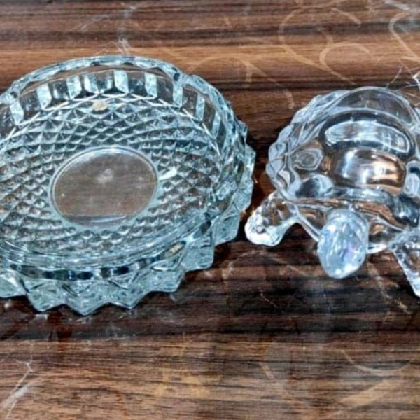 Crystal Turtle