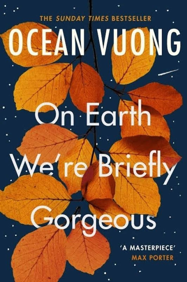 On Earth We're Briefly Gorgeous - Ocean Vuong, New