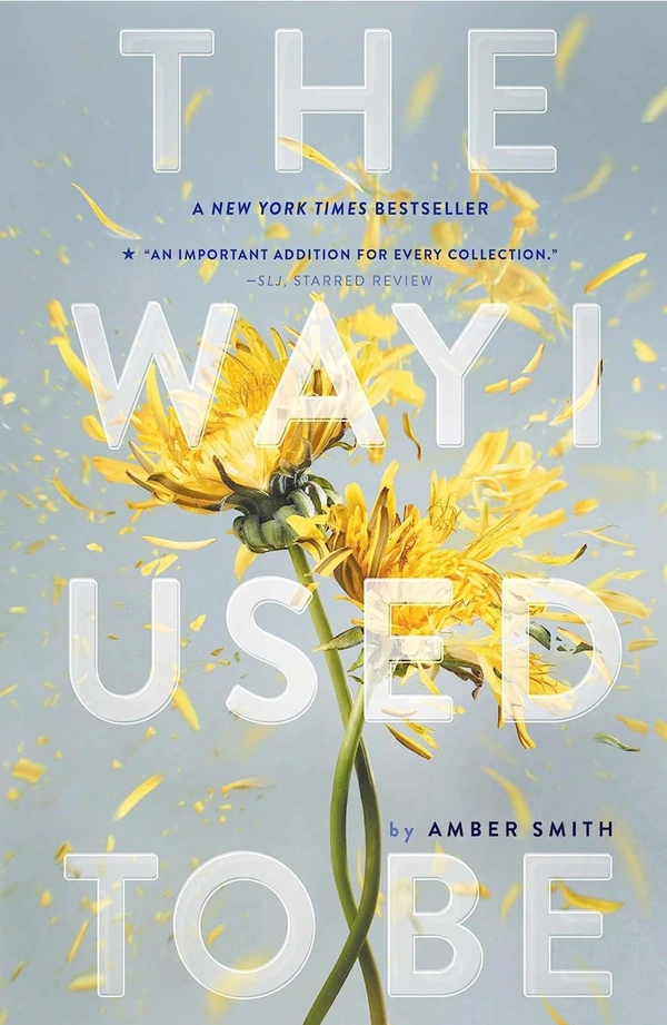 The Way I Used to Be - Amber Smith, New