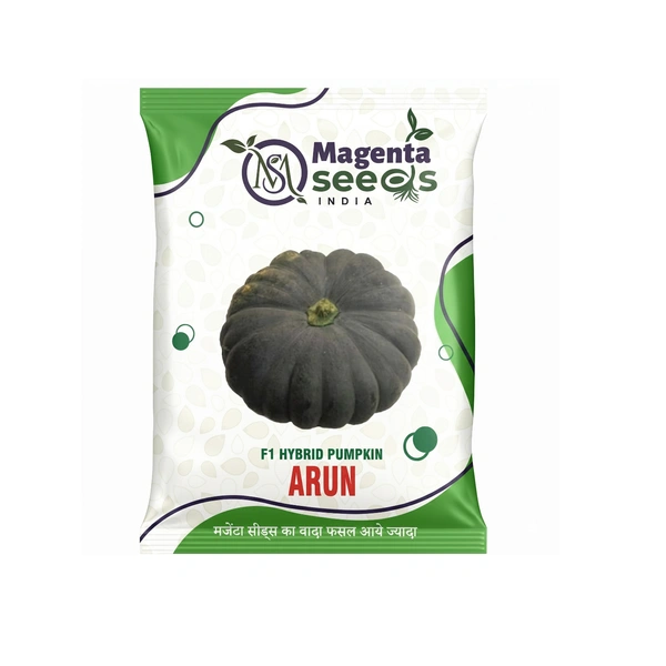 Magenta Seeds ARUN-Hybrid Pumpkin Gourd Seeds - 50 Grams