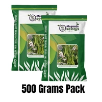 Magenta Seeds Desi Dolichos Seeds SEM JHIMLI-3 - 500 Grams