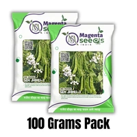 Magenta Seeds Desi Dolichos Seeds SEM JHIMLI-3 - 500 Grams