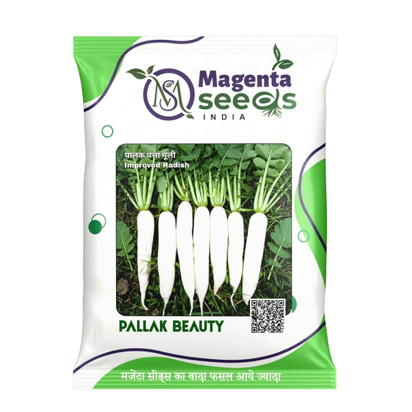 Magenta Seeds PALLAK BEAUTY-Improved Hybrid Radish Seeds - 100 Grams
