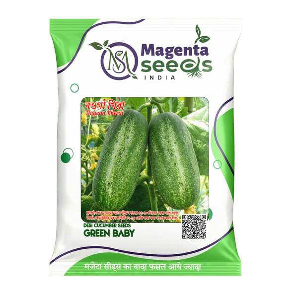 Green Baby Nagaon Kherai Cucumber Seeds - 50 Grams