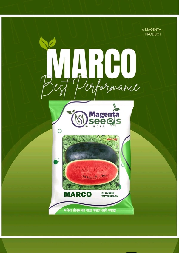 Marco Watermelon Seeds