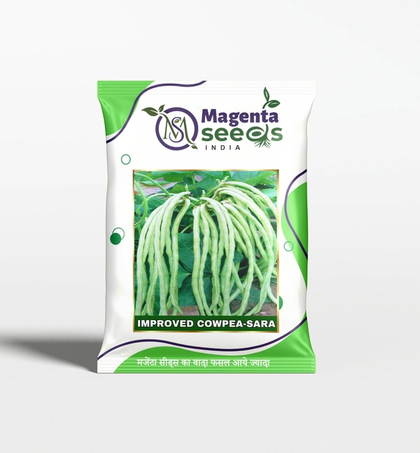Magenta Seeds Sara Cowpea Seeds - 100 grams