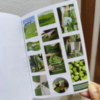 Deco Sticker Book - Green