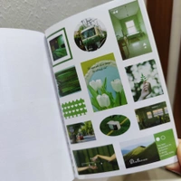 Deco Sticker Book - Green