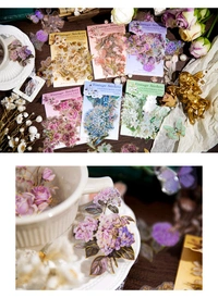 Speak to Flower PET Stickers