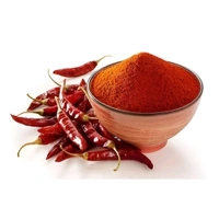 Spicy Mirchi Powder - LOOSE