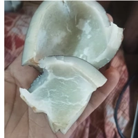 Premium Dry Coconut (Whole) – Natural & Fresh Copra for Cooking & Pooja