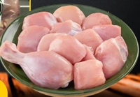 Broiler Chicken 