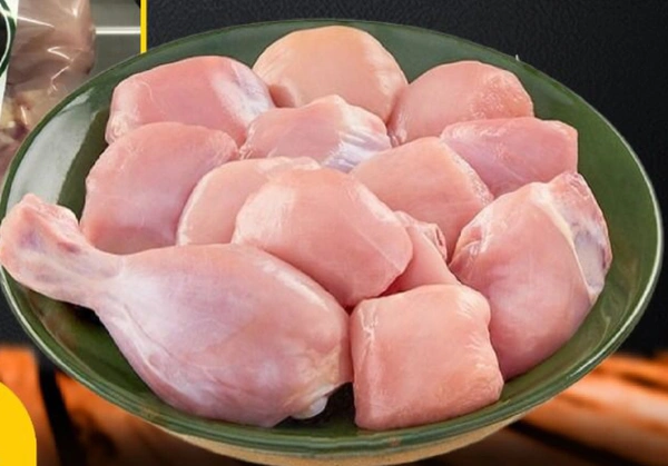 Broiler Chicken 