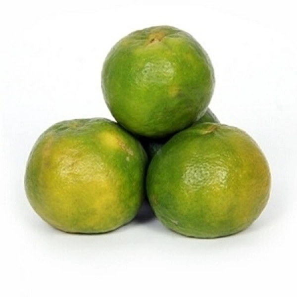 Orange India (Santra) - 1kg