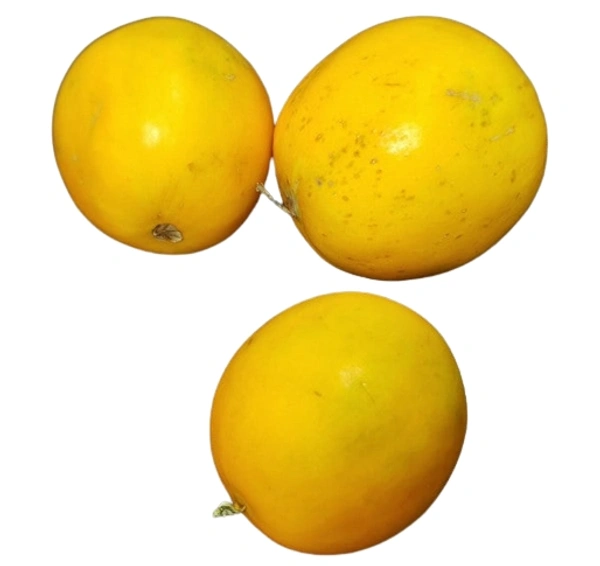Round cucumber (Kura dosa kaya) - 1kg