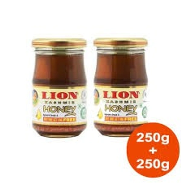 Lion Kashmir Honey: - 250gm+250gm