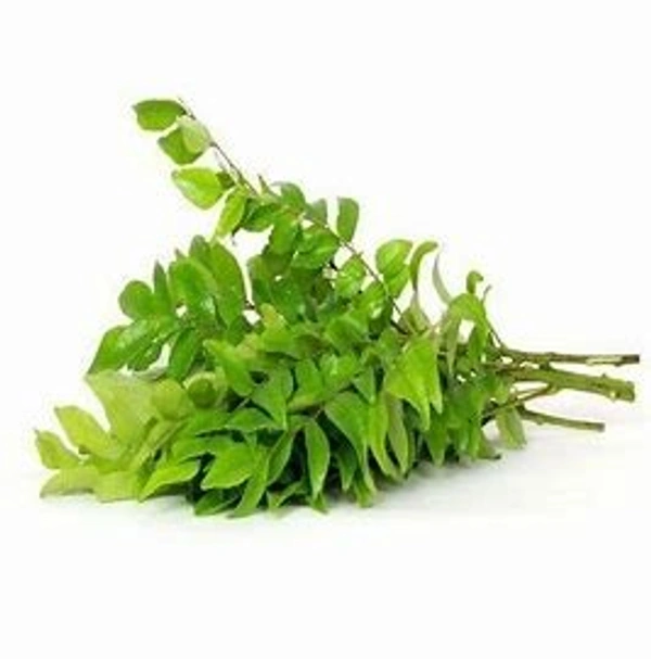 Curry Leaf (Kari patti - kariya paku) - 1pcs