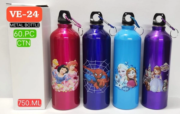 VE-24 Metal Bottle 750 mL