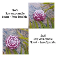 Soy Wax Candle 