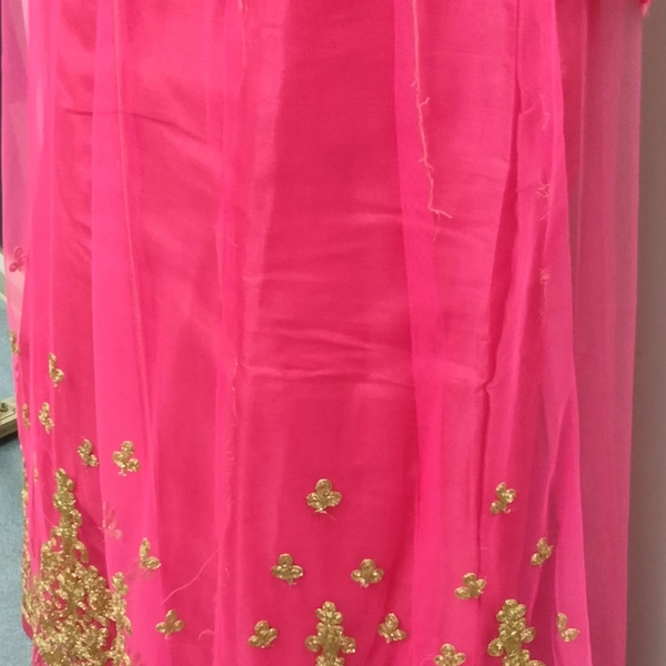 Crop Top With Long Koti - Rani, XL