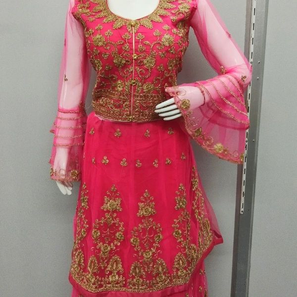 Crop Top With Long Koti - Rani, XL