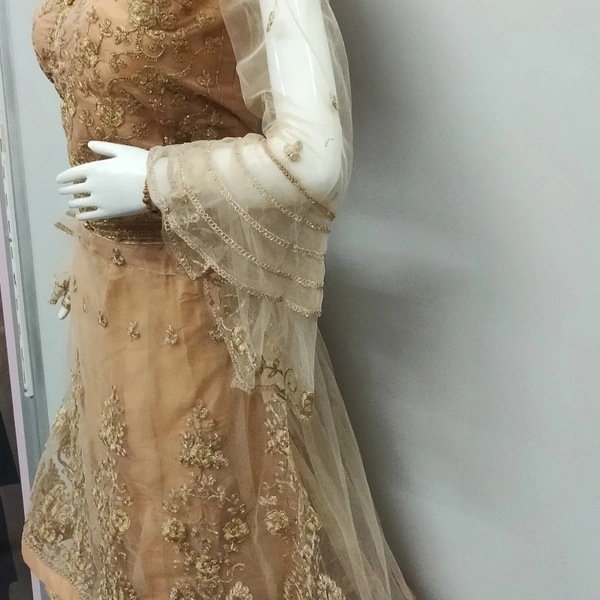Crop Top With Long Koti - Golden Dusty, XL
