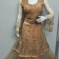 Crop Top With Long Koti - Golden Dusty, XL