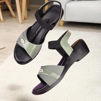 Stepee Elegant & Stylish Open Toe Sling Back Ankle Strap Wedge Sandal for Women - 38, Green