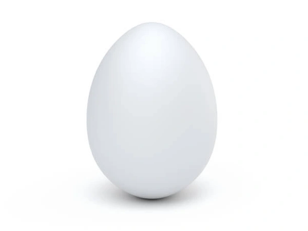White Egg / വെള്ള മുട്ട